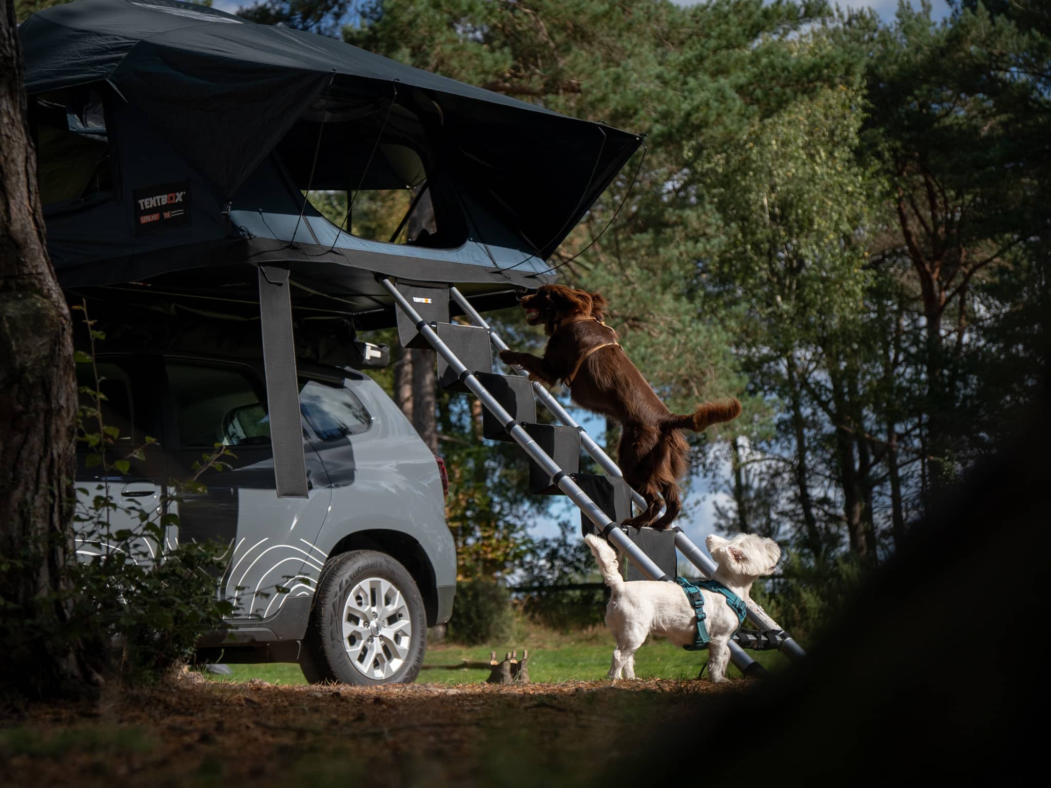 TentBox LadderSteps – стъпала за стълба